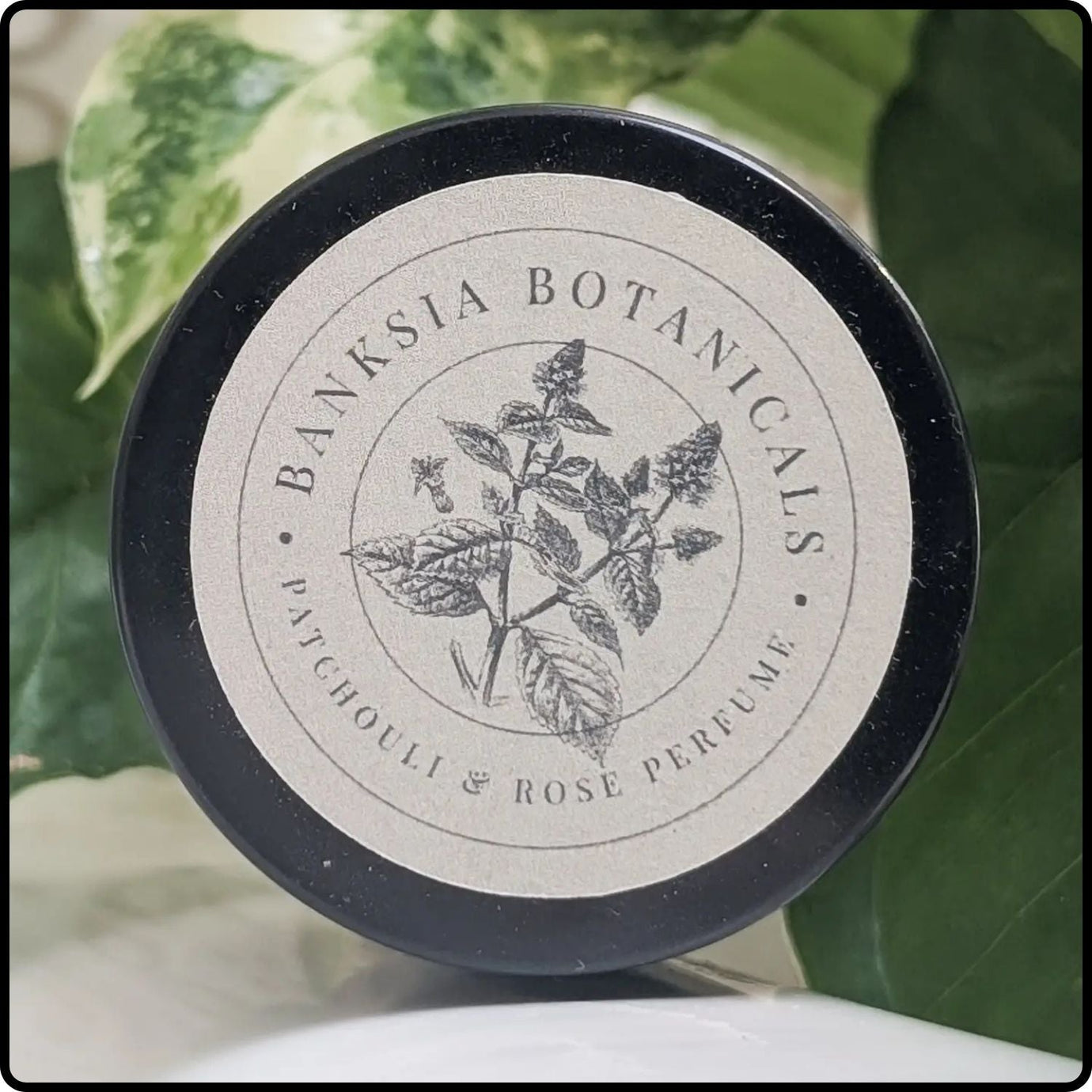 Skincare and Perfume