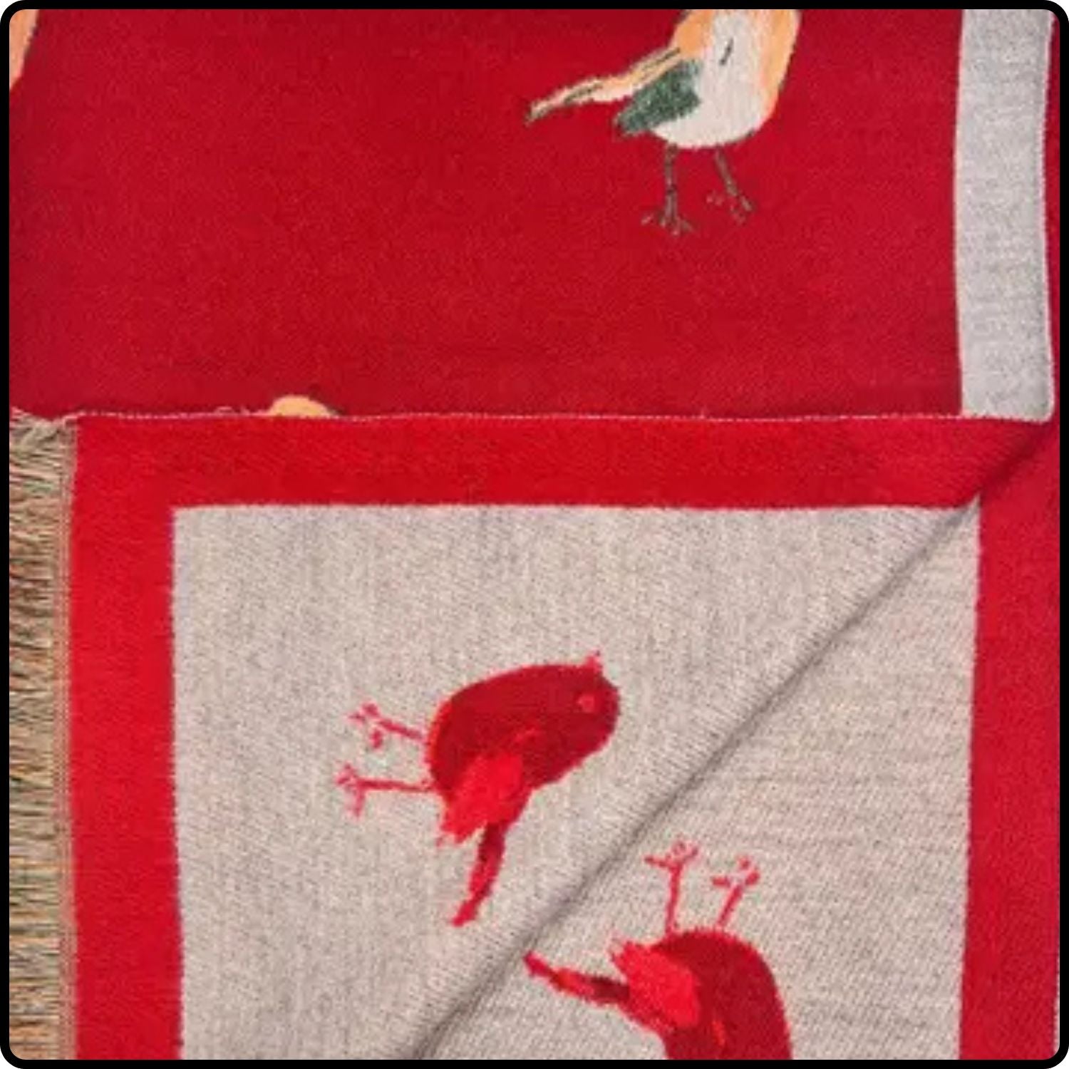 Robin embroidered print on reversible cashmere blend scarf in Red-RSCR