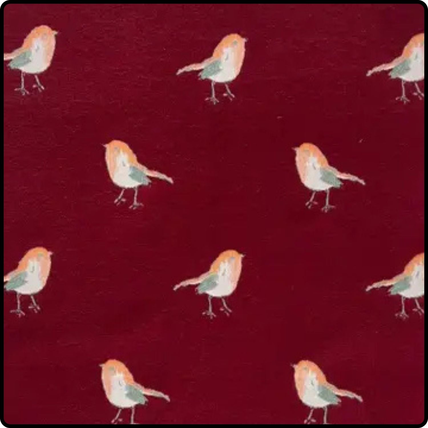 Robin embroidered print on reversible cashmere blend scarf in Burgundy-RSCB