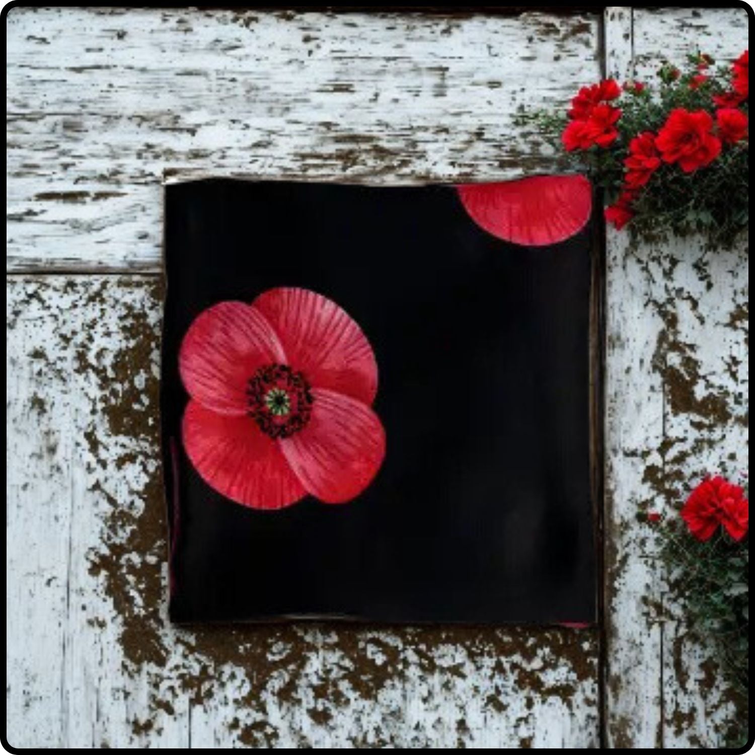 Poppy Print Scarf in Black-SPPB