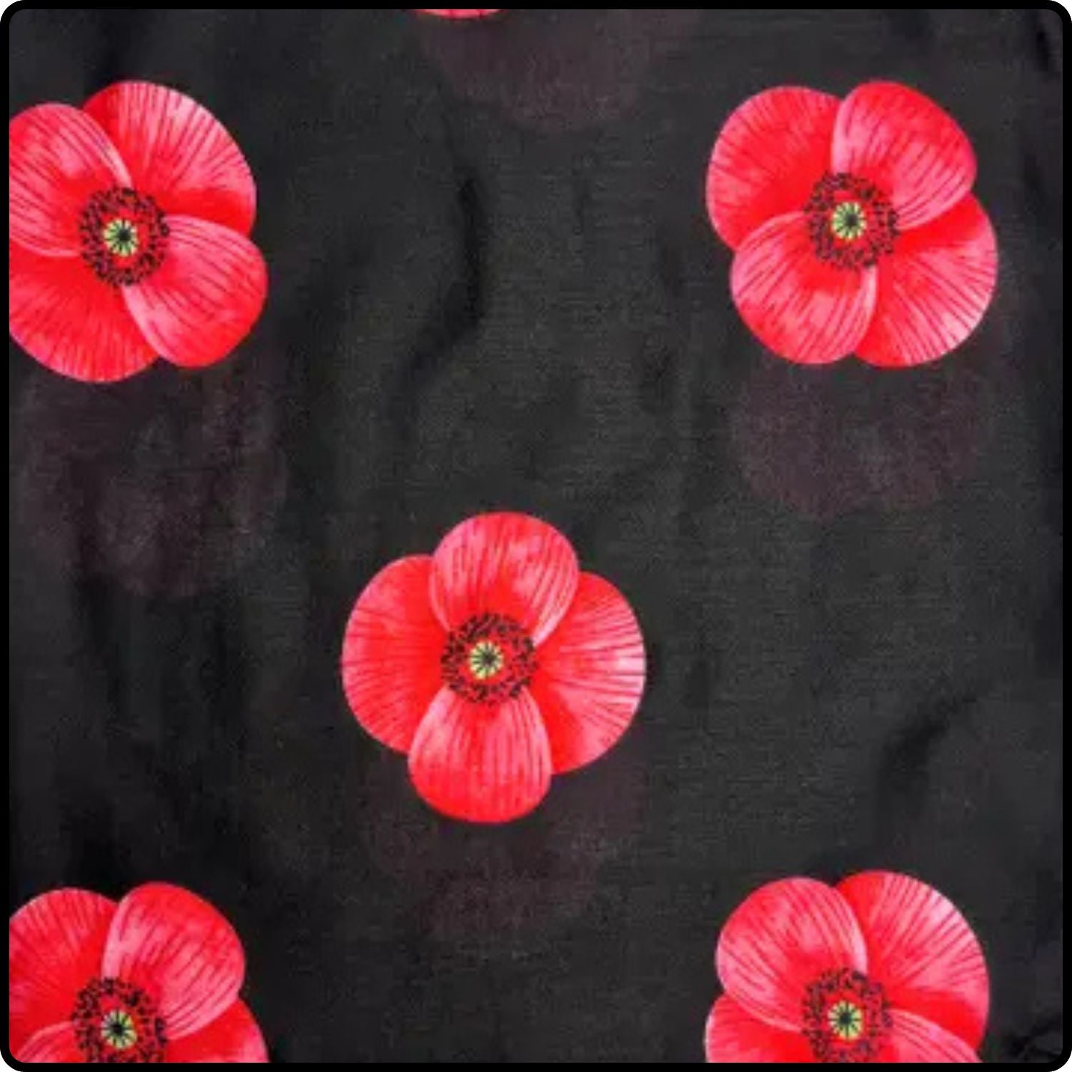 Poppy Print Scarf in Black-SPPB