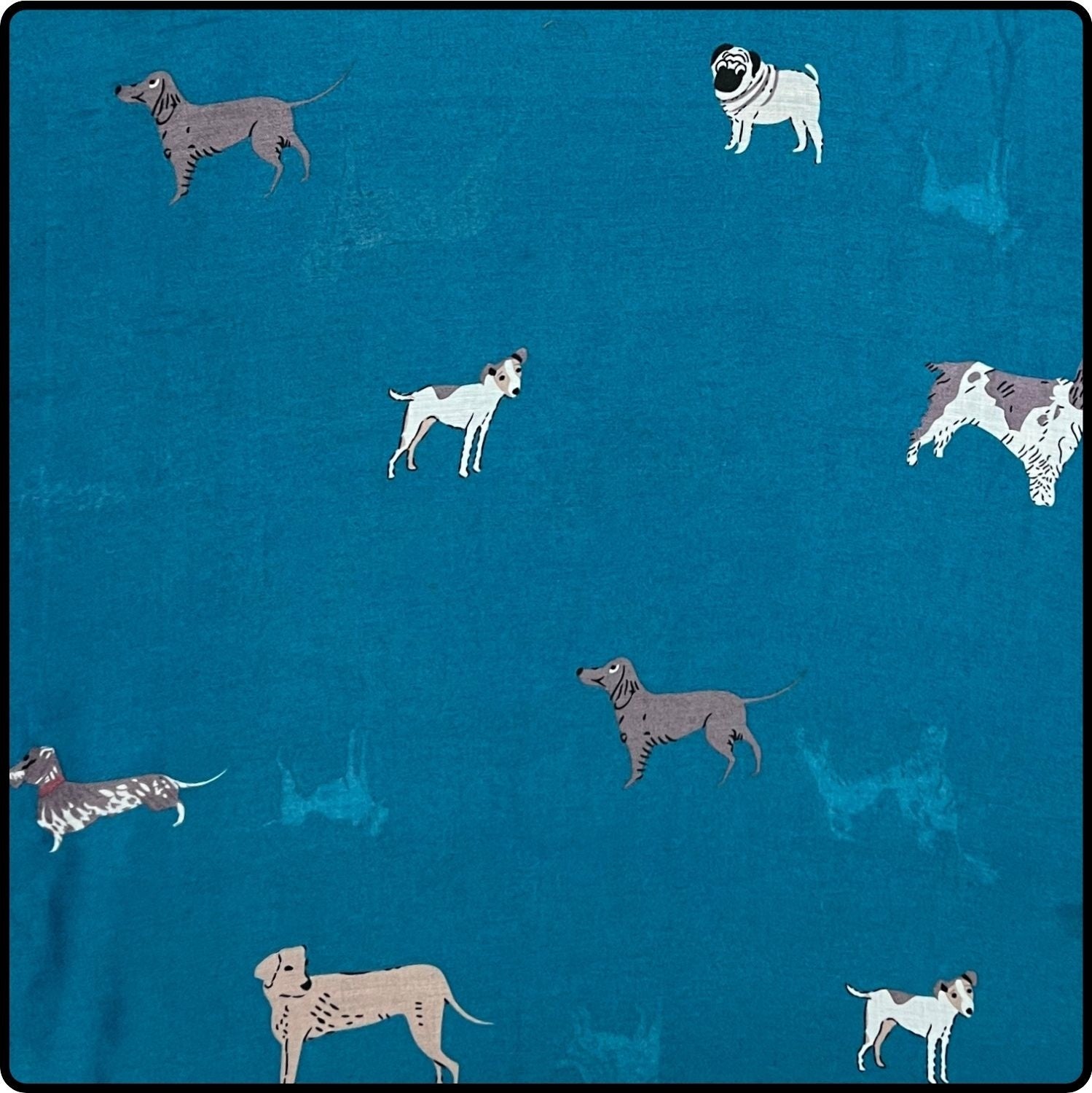 Dog Print Scarf Mixed Breeds on Teal - SDMBT