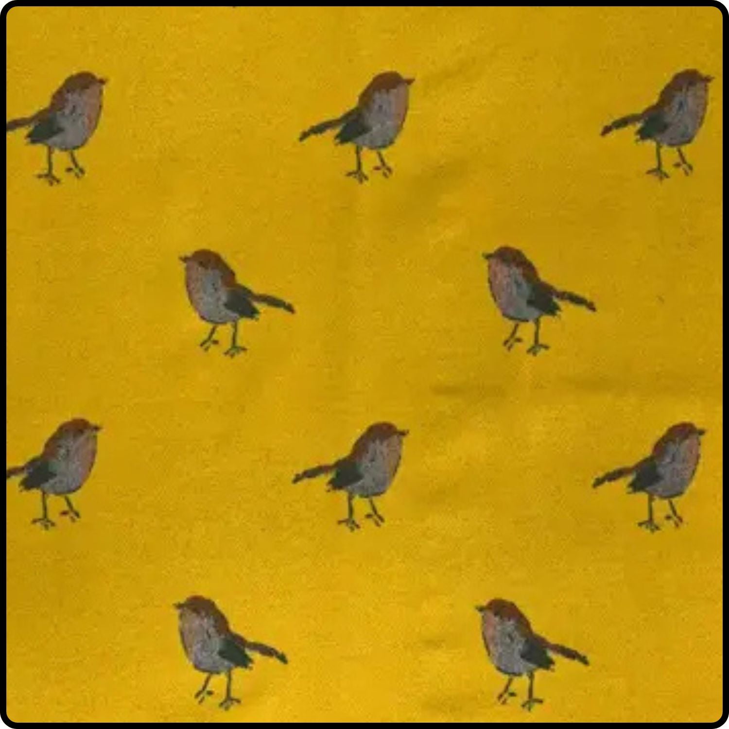 Robin embroidered print on reversible cashmere blend scarf in Yellow-RSCY