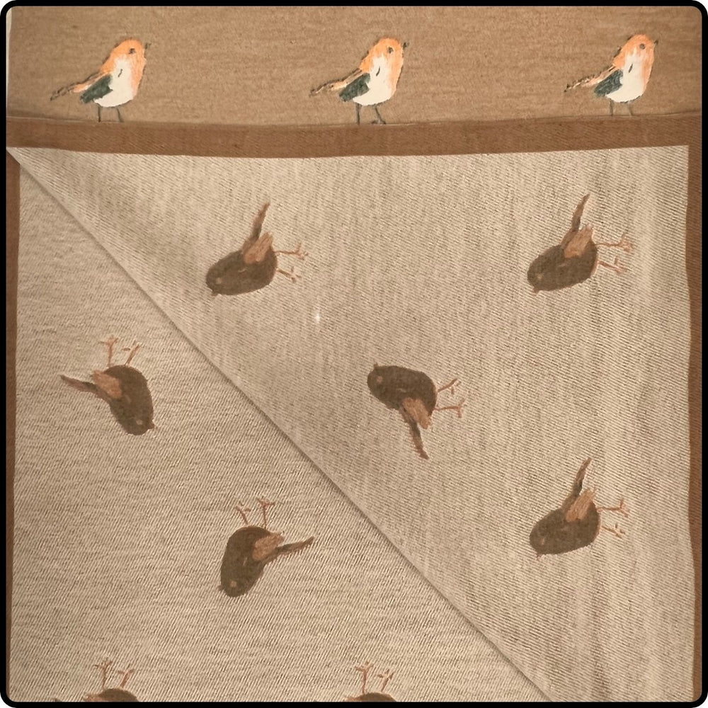 Robin embroidered print on reversible cashmere blend scarf in Light Brown-SCRLB