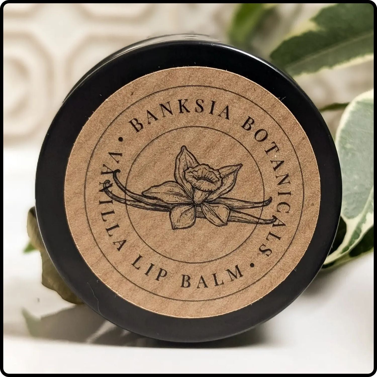 Vanilla Beeswax Lip Balm-BB71